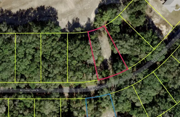 SE Fisher Lane Drive, OCKLAWAHA, FL 32179