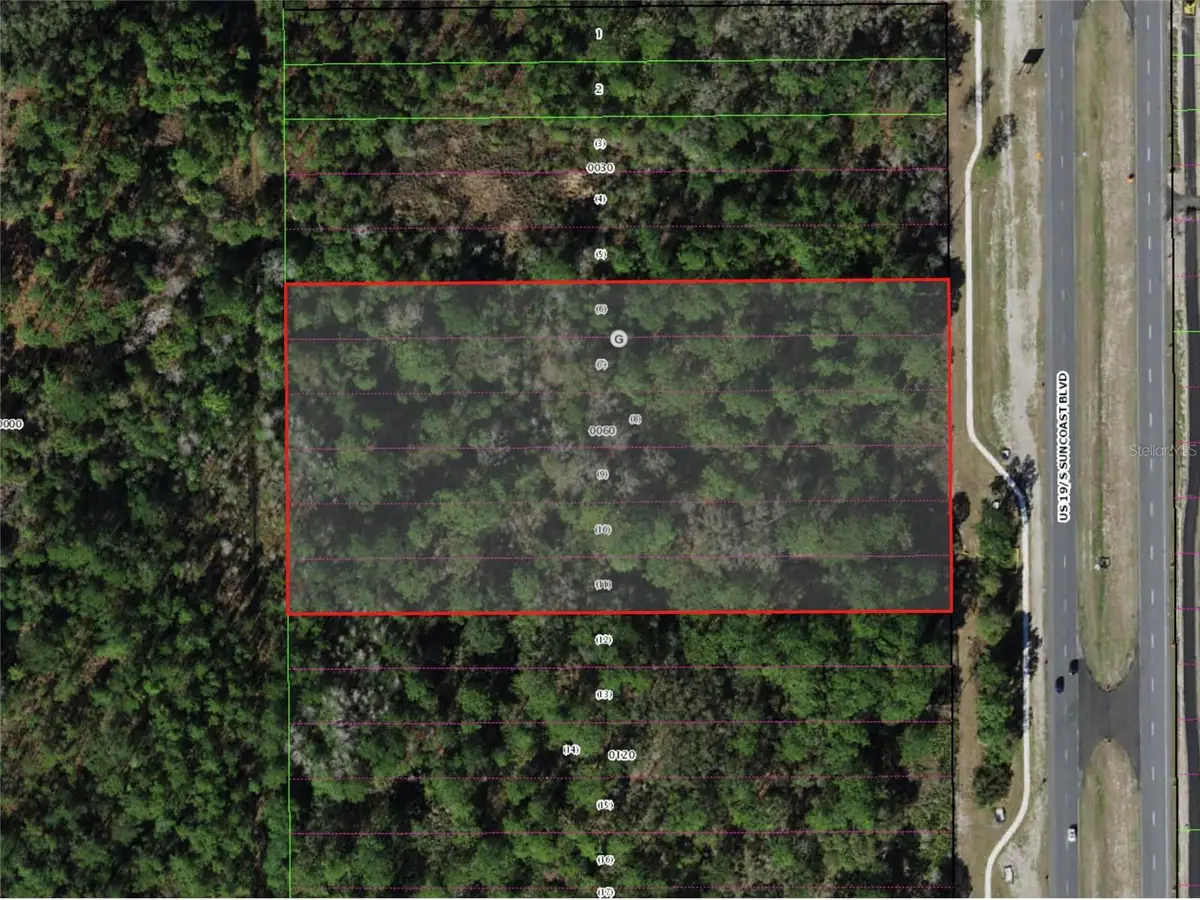 9054 S Suncoast Boulevard, Homosassa, FL 34446 - #1