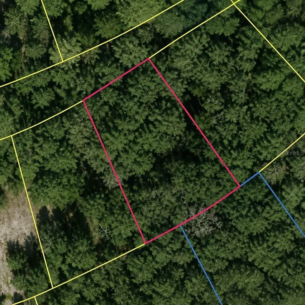 SE Fischer Lane Drive, Ocklawaha, FL 32179 - #1