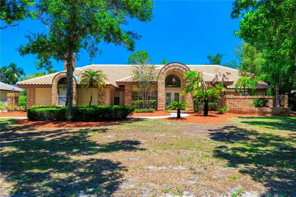 1611 Hampton Lane, SAFETY HARBOR, FL 34695