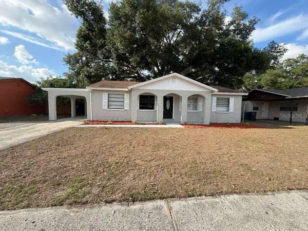2065 Balfour Circle, TAMPA, FL 33619