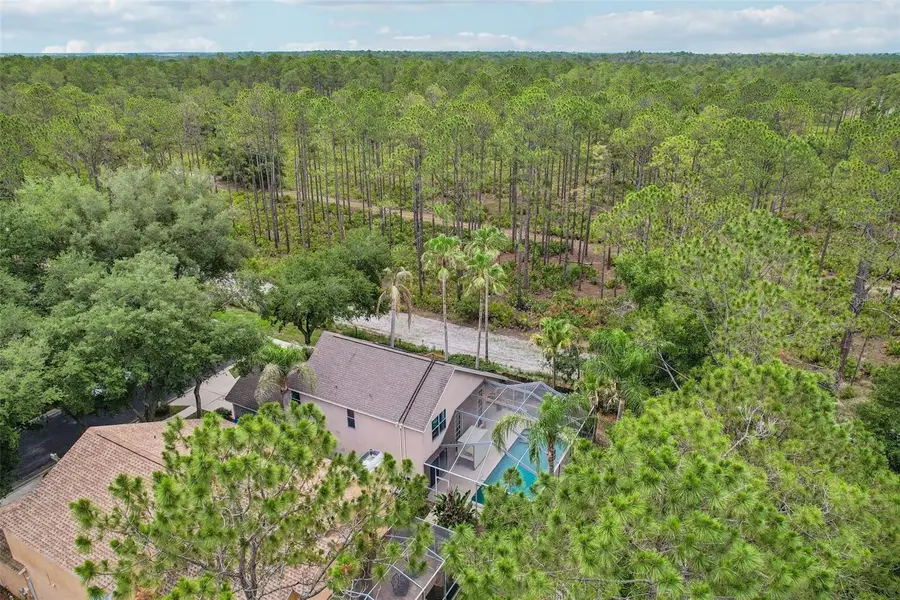 17702 Long Ridge Road, Tampa, FL 33647 - #2