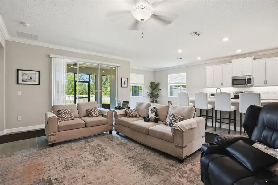 17135 Shell Bay Drive, Land O Lakes, FL 34638 - #3