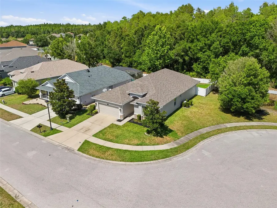 3722 Ashton Oaks Boulevard, Wesley Chapel, FL 33543 - #3