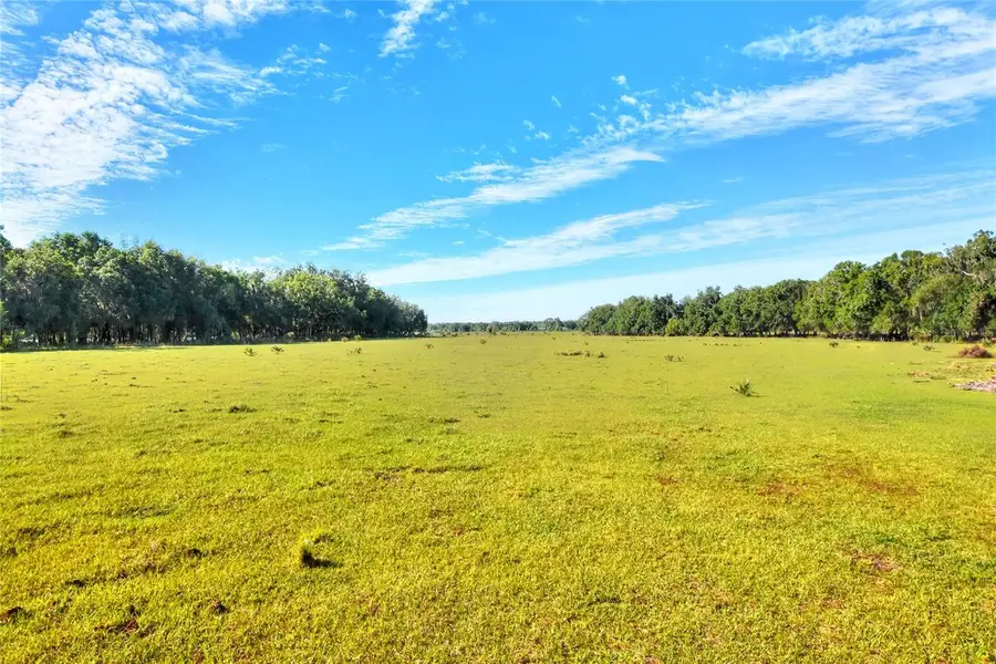 Address Withheld By Seller, Lithia, FL 33547 - #2
