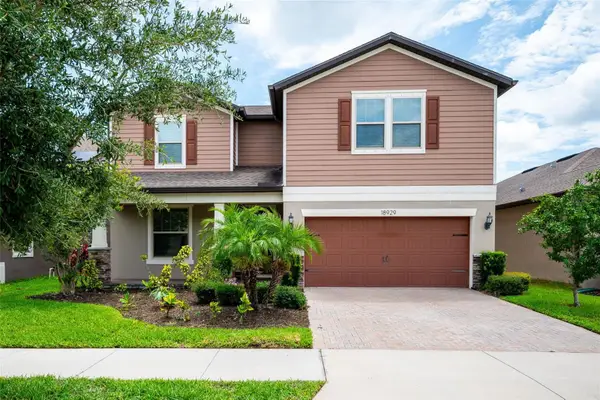 18929 Birchwood Groves Drive, LUTZ, FL 33558
