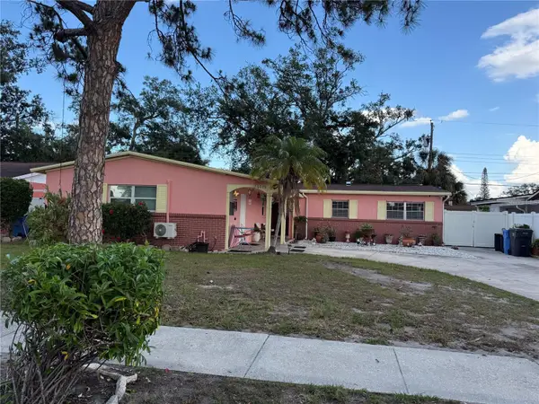 6019 Rosewood Drive, TAMPA, FL 33615