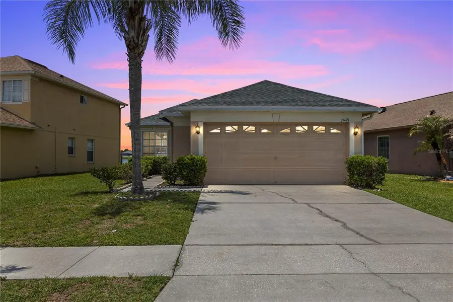 31421 Triborough Drive, Wesley Chapel, FL 33545 - #2