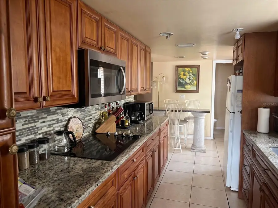 4306 W Idell Street, Tampa, FL 33614 - #3