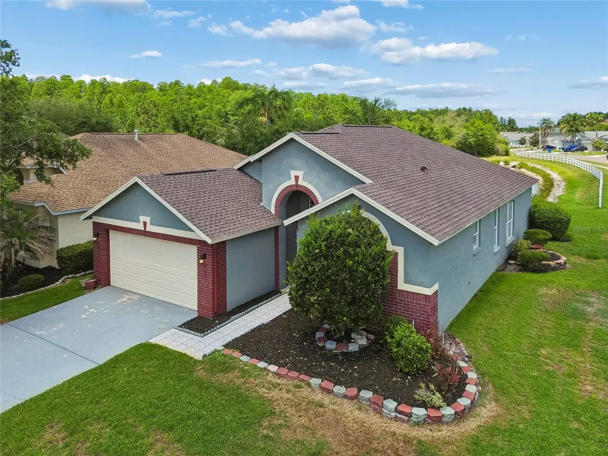 30600 Nickerson Loop, Wesley Chapel, FL 33543 - #1