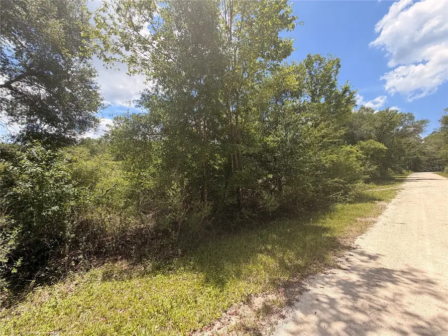 Lot 3 Chipstone Street, Webster, FL 33597 - #2