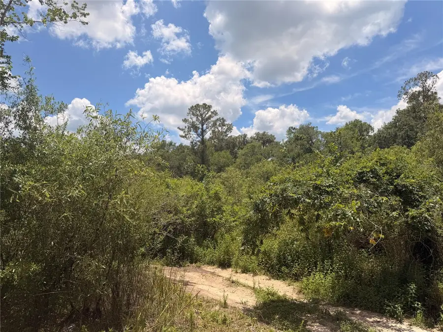 Lot 3 Chipstone Street, Webster, FL 33597 - #3