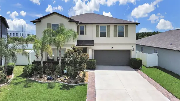 10384 Scarlet Skimmer, RIVERVIEW, FL 33578