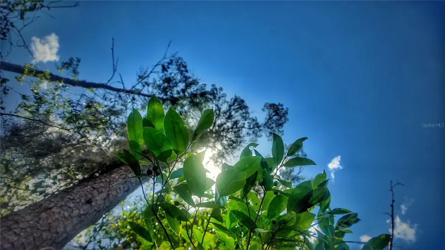 0 Lot 0370, New Port Richey, FL 34654 - #2