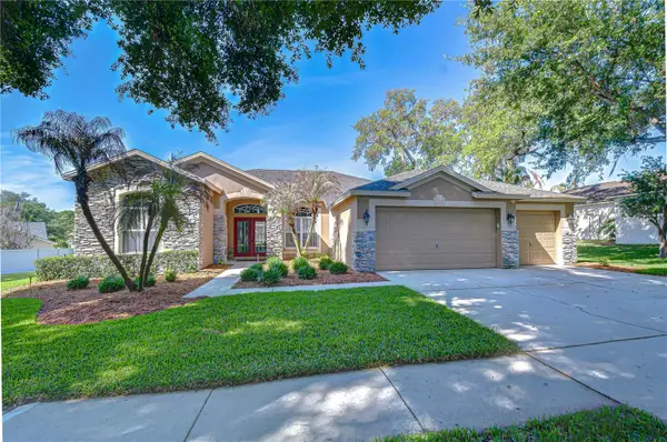 4609 Compass Oaks Drive, VALRICO, FL 33596