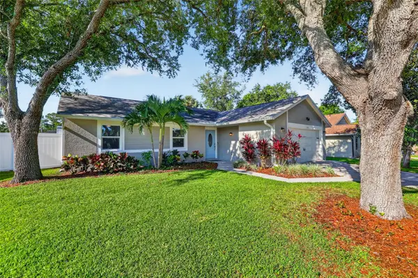 1356 Noell Boulevard, PALM HARBOR, FL 34683