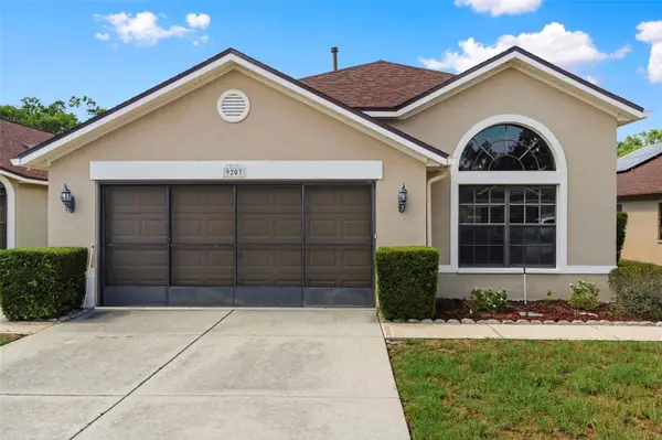 9203 Halberg Drive, HUDSON, FL 34669