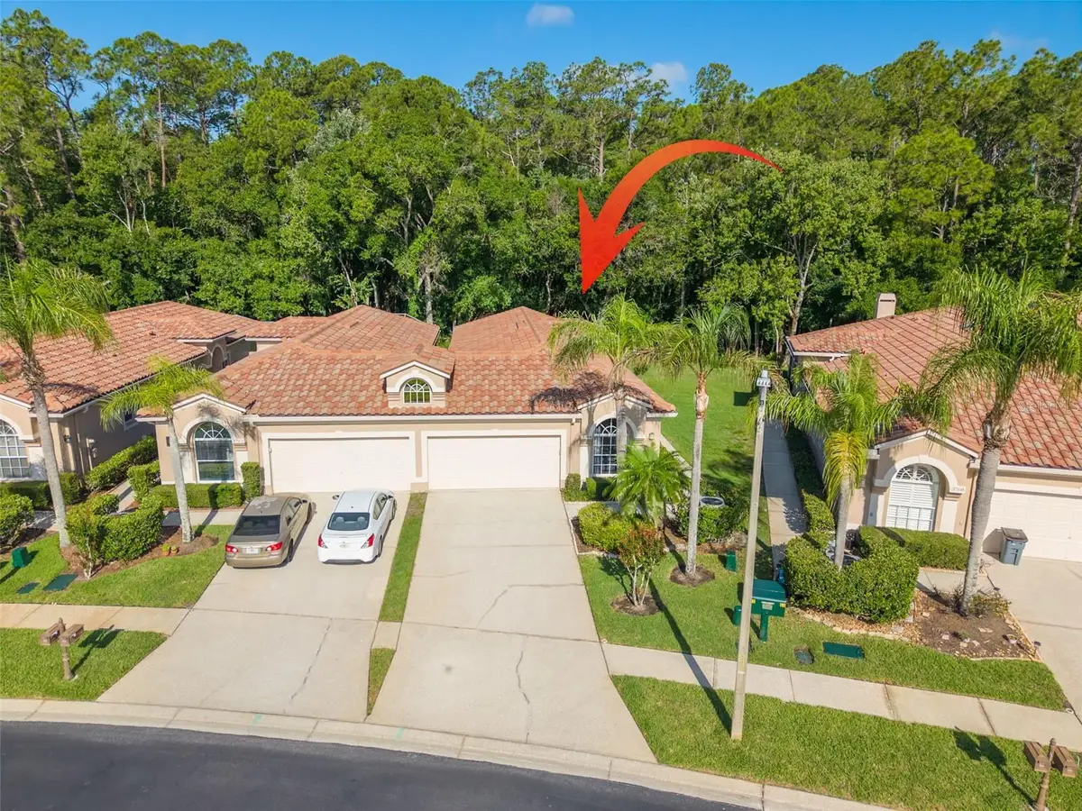 3764 Darston Street, Palm Harbor, FL 34685 - #1