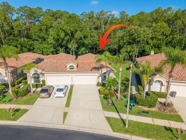 3764 Darston Street, PALM HARBOR, FL 34685