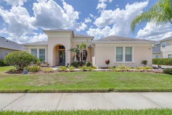 3227 Watermark Drive, WESLEY CHAPEL, FL 33544