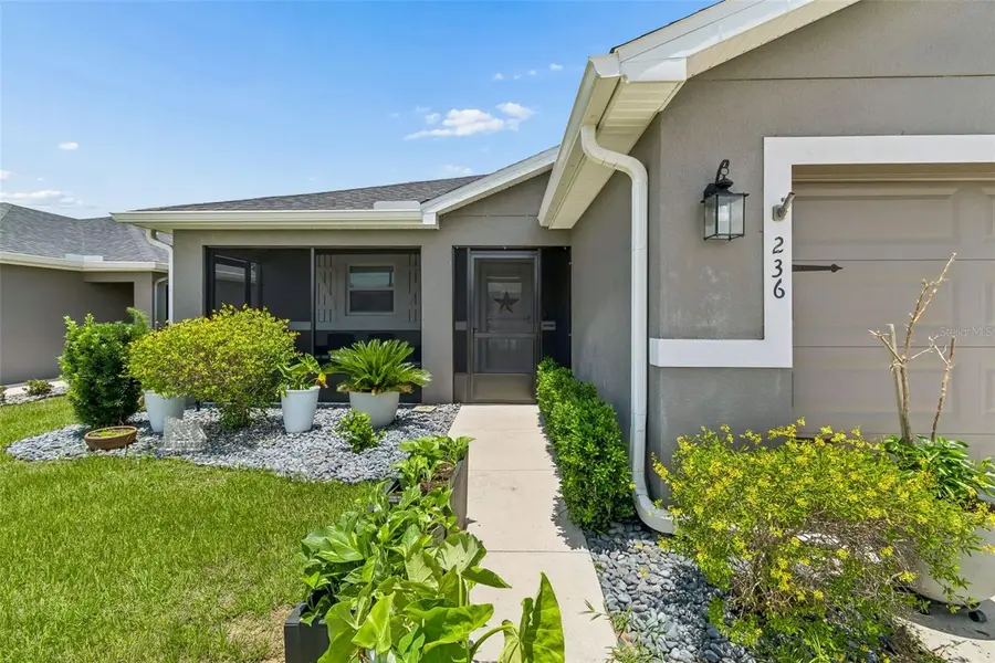 236 Foxtail Loop, Davenport, FL 33837 - #3