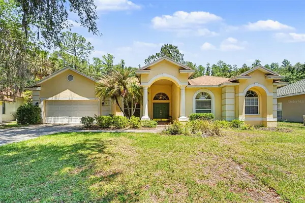 7210 Wareham Drive, TAMPA, FL 33647