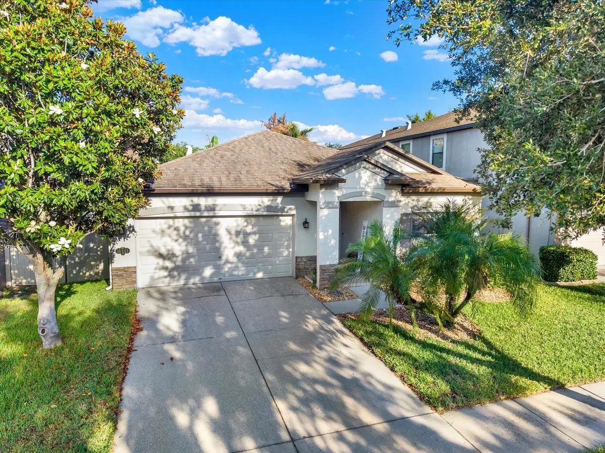 11513 Blue Crane Street, Riverview, FL 33569 - #1