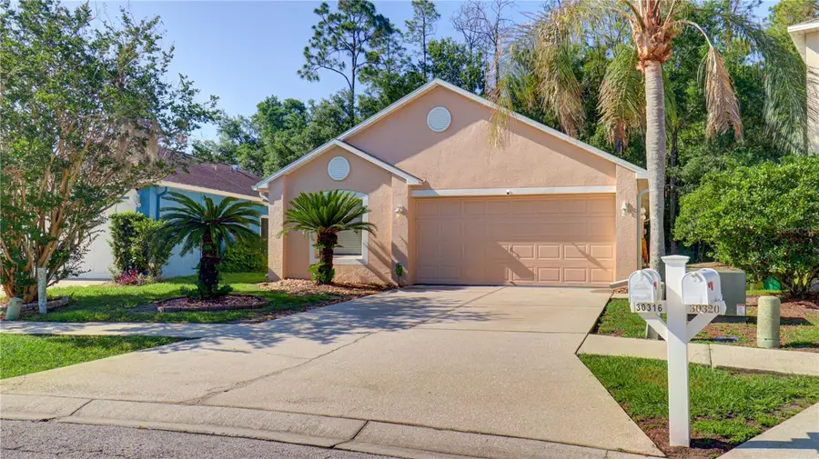 30316 Double Drive, Wesley Chapel, FL 33545 - #2