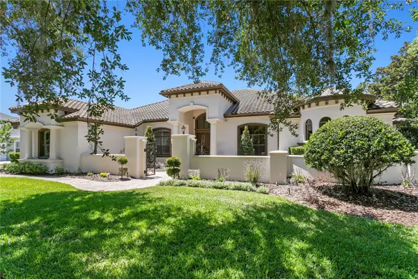16303 Dunlindale Drive, LITHIA, FL 33547