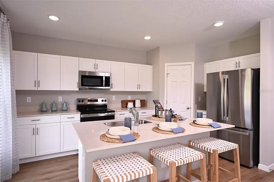 31731 Oyster Trellis Lane, Wesley Chapel, FL 33545 - #2