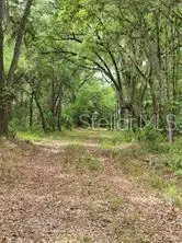E Hwy 318, Citra, FL 32113 - #2