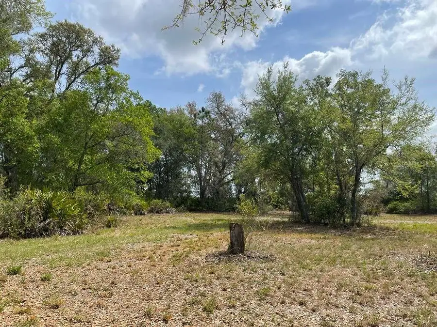 E Hwy 318, Citra, FL 32113 - #3
