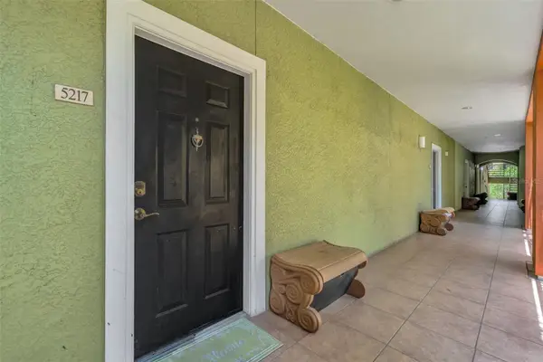 1810 E Palm Avenue #5217, TAMPA, FL 33605