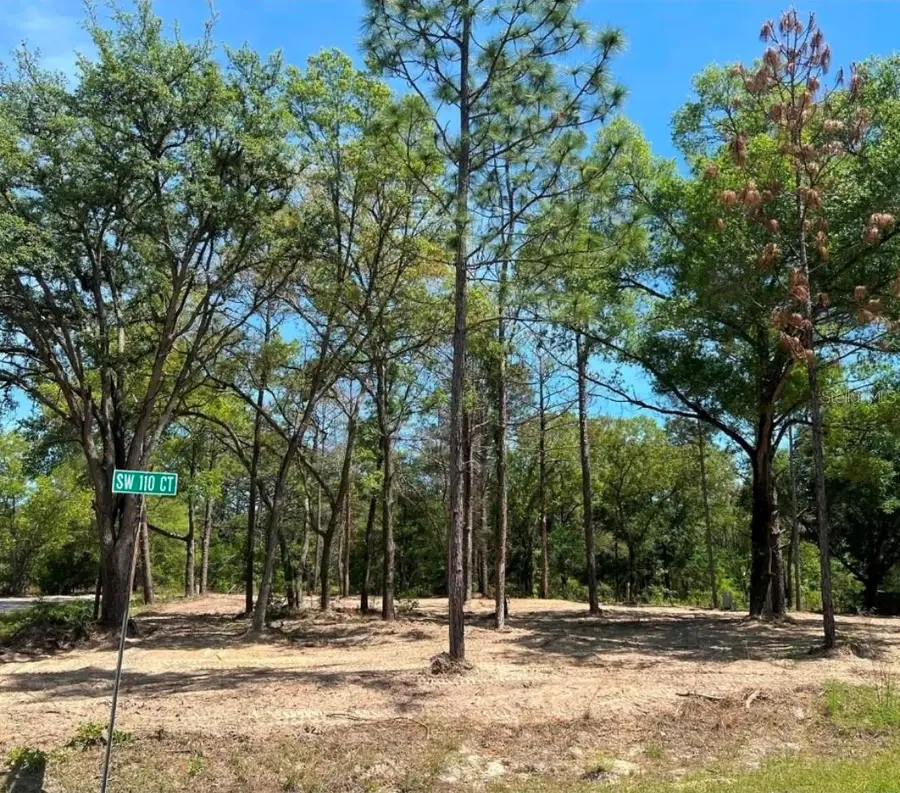 SW 110th Court, Dunnellon, FL 34432 - #2