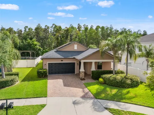 19476 Paddock View Drive, TAMPA, FL 33647