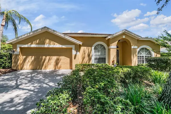 9459 Hunters Pond Drive, TAMPA, FL 33647