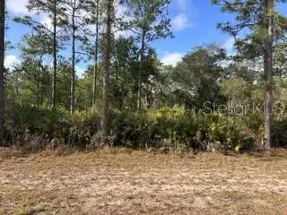 1013 (BLK 299 LOT 18) Alba Drive, INDIAN LAKE ESTATES, FL 33855