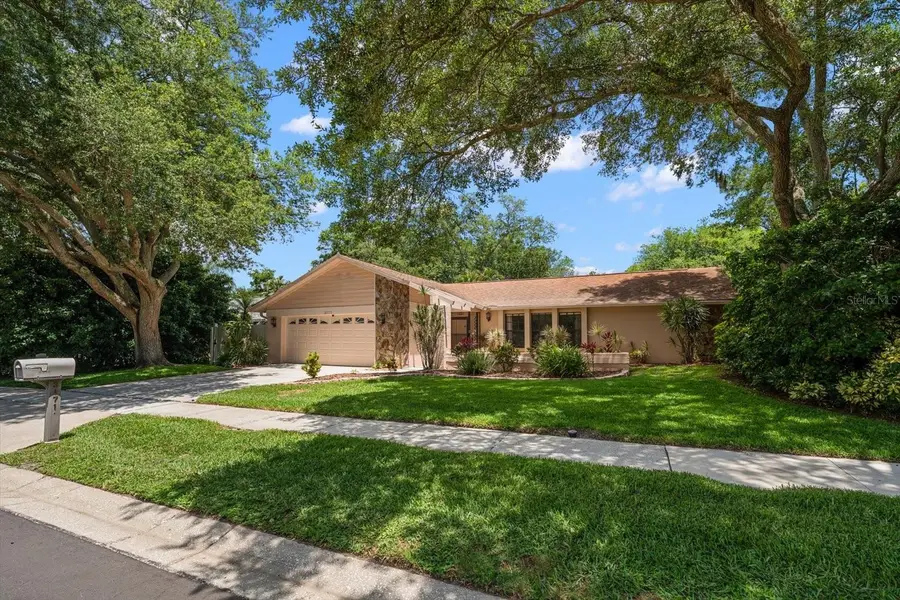 3171 Oak View Drive, Palm Harbor, FL 34684 - #2