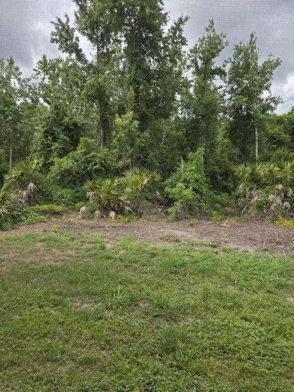 9321 Huntington Parkway, Tampa, FL 33647 - #2