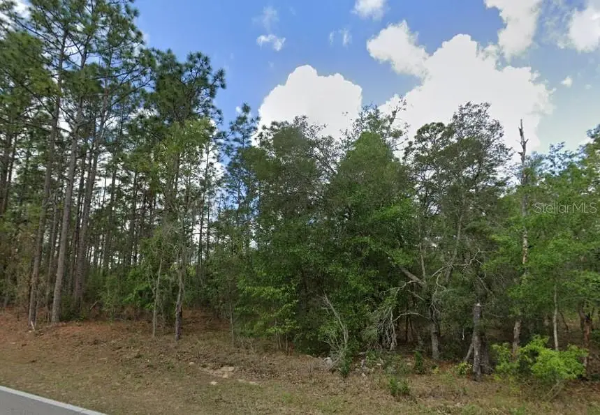796 N Kensington Avenue, Lecanto, FL 34461 - #1