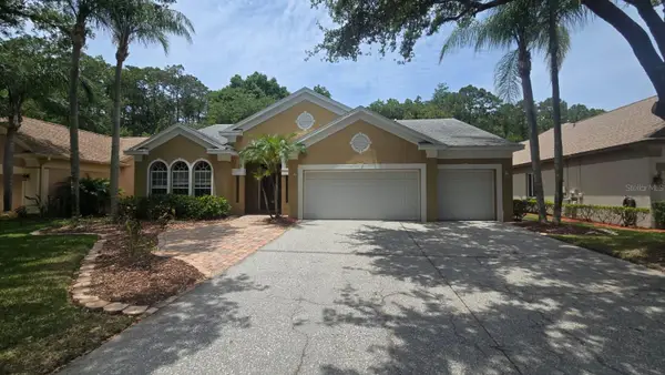 4602 Enright Drive, PALM HARBOR, FL 34685