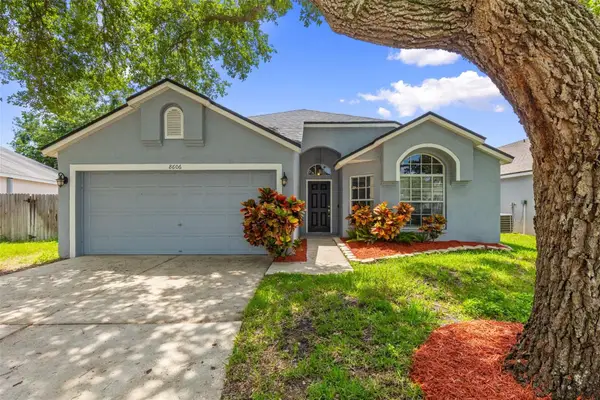 8606 Fawn Creek Drive, TAMPA, FL 33626