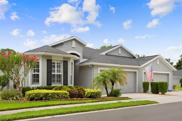 8557 Acorn Ridge Court, TAMPA, FL 33625