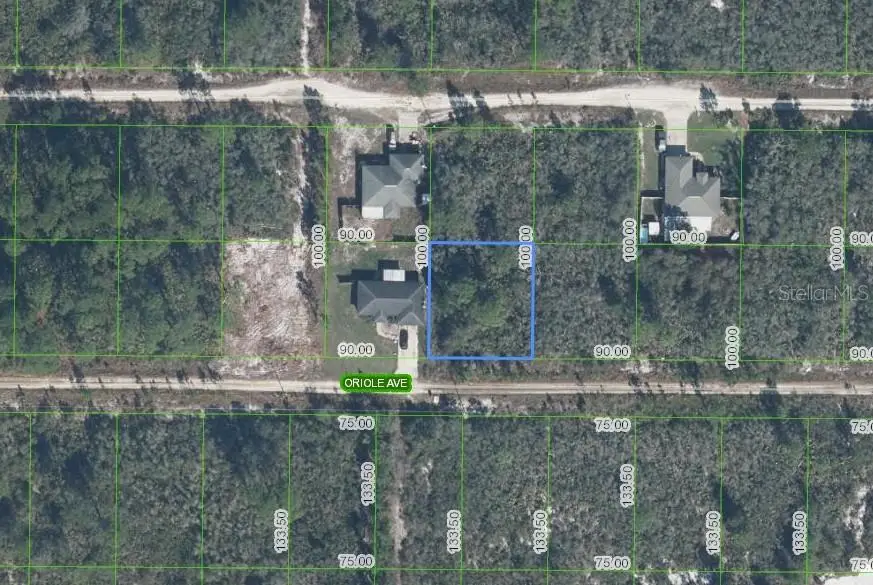 229 Oriole Avenue, Sebring, FL 33870 - #1