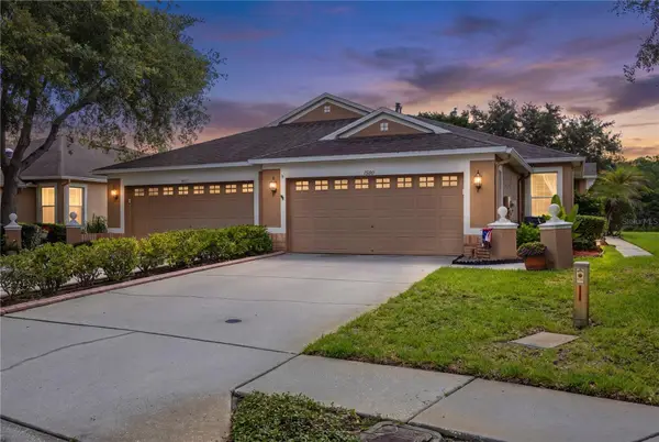 19109 White Wing Place, TAMPA, FL 33647