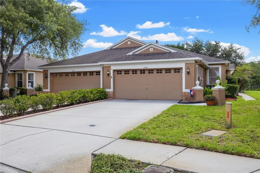 19109 White Wing Place, Tampa, FL 33647 - #2
