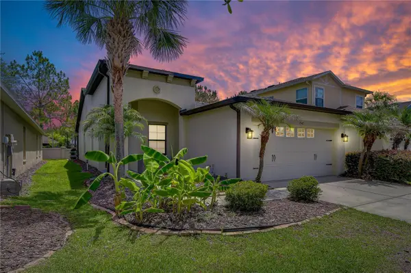 7847 Tuscany Woods Drive, TAMPA, FL 33647