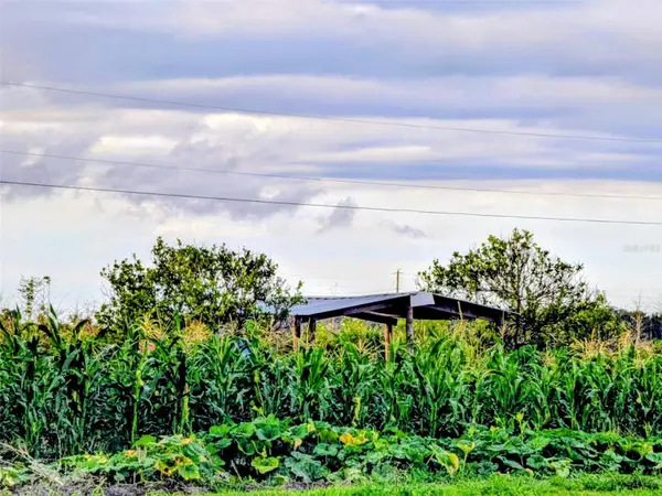 0 Mineral Branch Road, ZOLFO SPRINGS, FL 33890