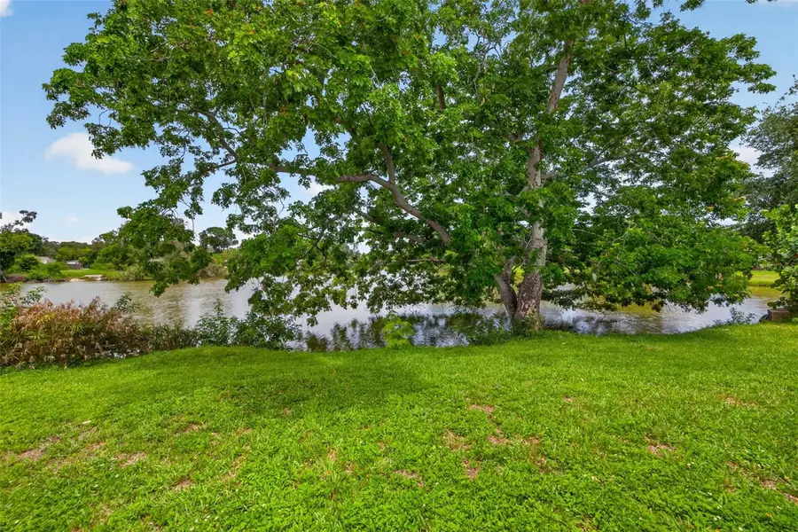 6819 Meadowlawn Drive N, Saint Petersburg, FL 33702 - #3