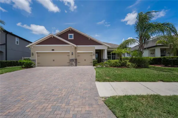 18233 Roseate Drive, LUTZ, FL 33558